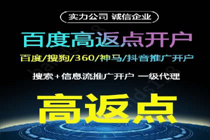 SEM竞价代运营公司案例深度解析
